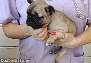 imagem_1