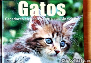 imagem_1
