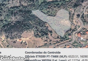 imagem_5