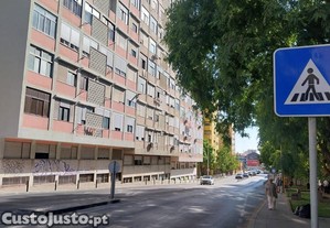 imagem_1