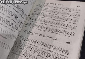 imagem_7