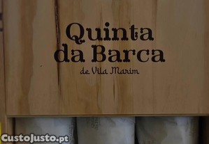 imagem_5
