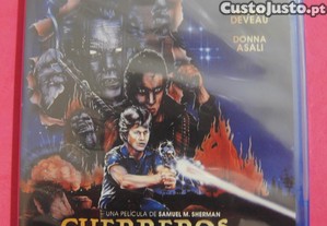 imagem_1
