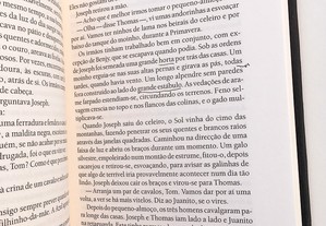 imagem_4