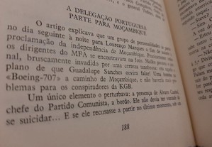 imagem_6