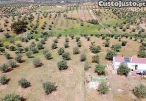 Terreno Rstico na Regio de Portel, junto  Vila do Alqueva