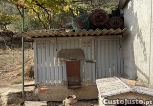 imagem_4