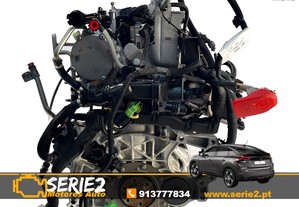 imagem_3