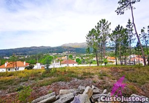 Terreno Em Nogueira Com Vista Desafogada