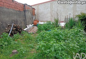 imagem_16
