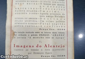 imagem_8