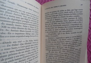 imagem_8