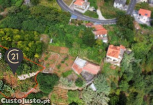 Terreno Rstico - Faial - Santana