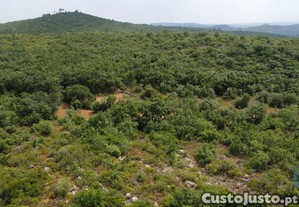 Terreno em Chos de 4480,00 m
