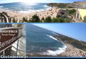 imagem_1