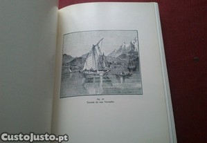 imagem_6