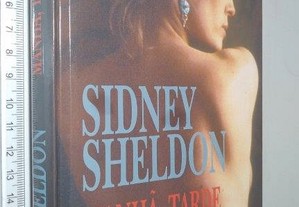 Manhã, tarde e noite - Sidney Sheldon