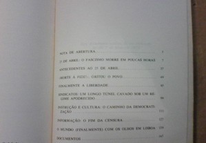 imagem_8