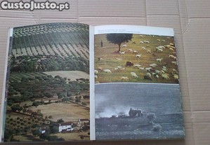imagem_4