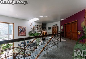 imagem_19