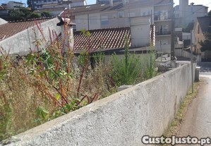 imagem_22