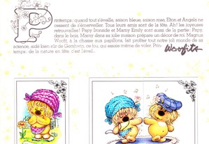 imagem_4