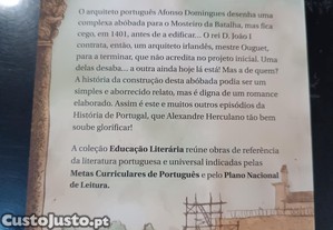 imagem_8