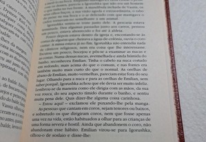 imagem_6