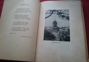 imagem_3
