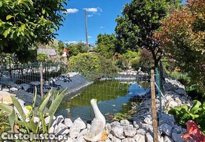 imagem_37
