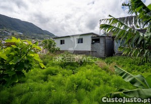 imagem_22