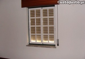 imagem_12