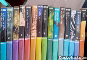 imagem_8
