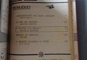 imagem_8