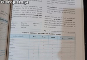 imagem_7