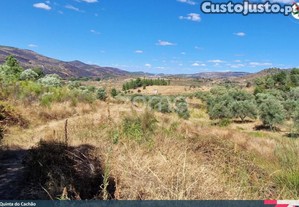 Quinta Do Cachão - Refúgio Agrícola No Vale Do Tua