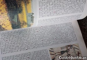 imagem_5