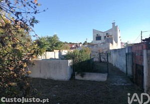 imagem_24