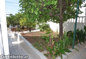 imagem_11