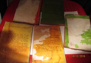 imagem_2