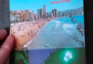 imagem_4