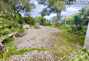 imagem_20
