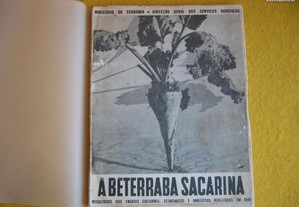 A Beterraba Sacarina - 1941