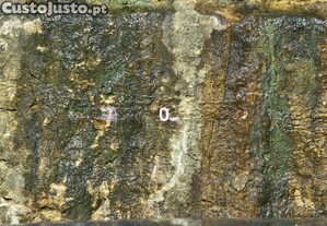 imagem_20