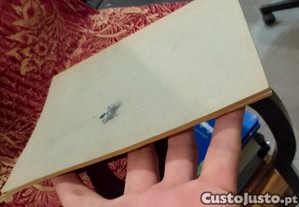 imagem_7