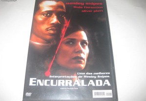 DVD "Encurralada" com Wesley Snipes