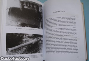 imagem_7
