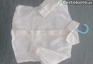 Lote de camisas