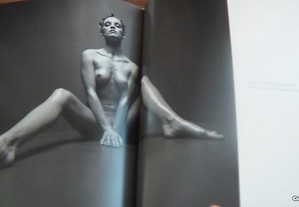 imagem_2