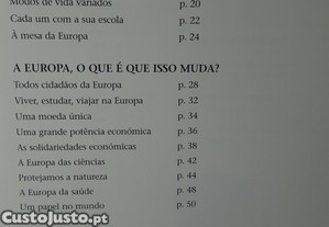 imagem_8